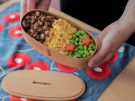 Recettes Bento : Comment faire un Bento Sanshoku Soboro