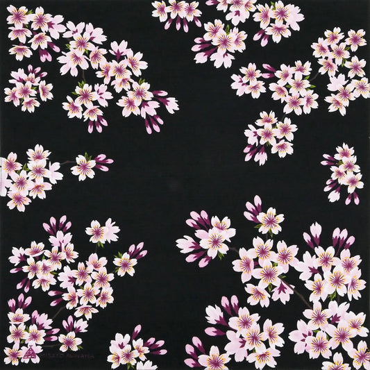 Furoshiki Yozakura (nero e rosa, 50 cm)