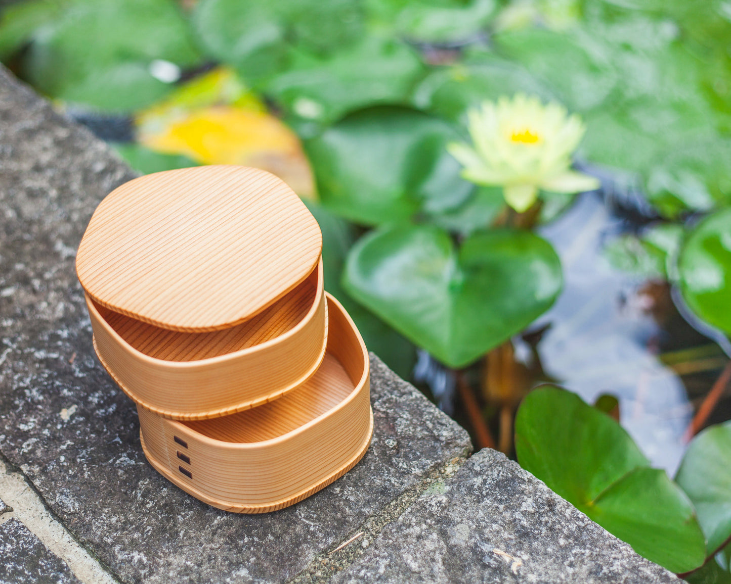 Magewappa Ume by Odate Kougei - Bento&co Japanese Bento Lunch Boxes and Kitchenware Specialists